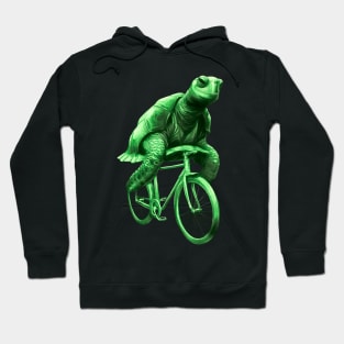 Turtle on a bike Hoodie